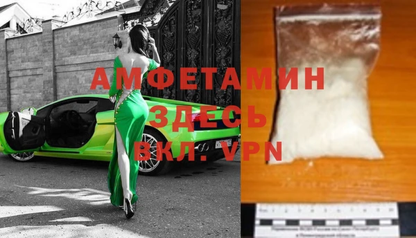 хмурый Пересвет