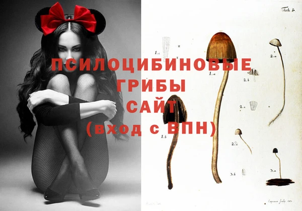 бутират Аркадак