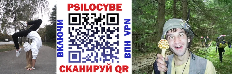 цены наркотик  ссылка на мегу маркетплейс  Галлюциногенные грибы мухоморы  Михайловка 